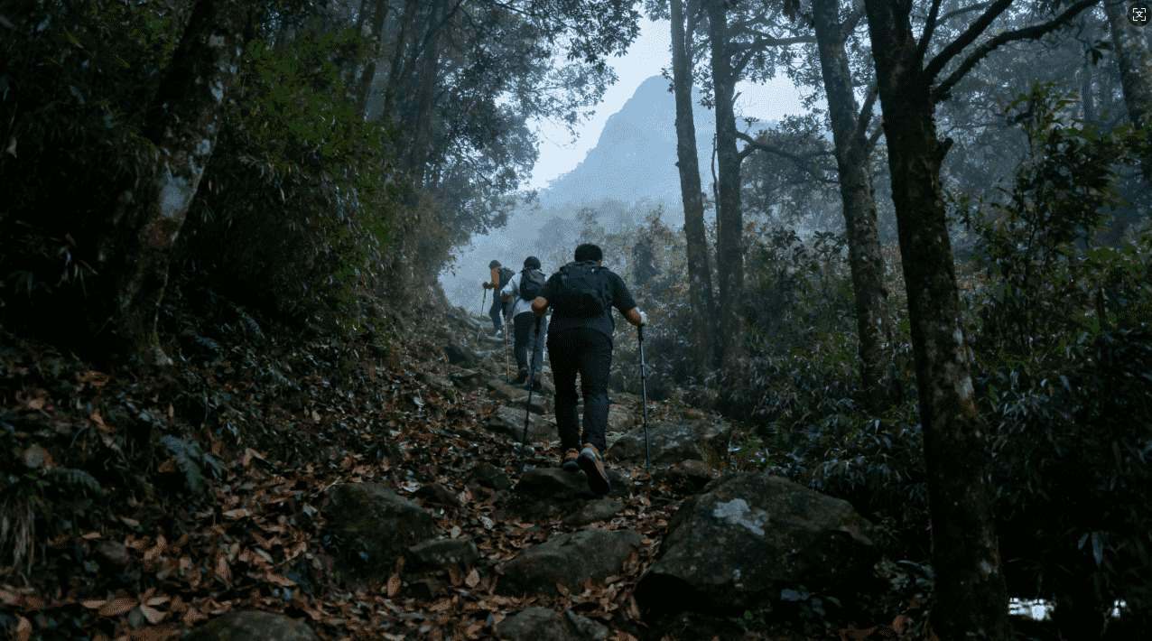 暴喵加速器如何在电脑上安装详细步骤